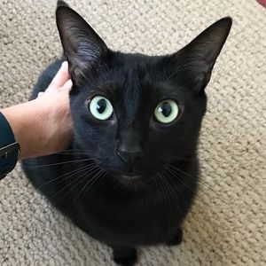 Meet your Posher, Melissa